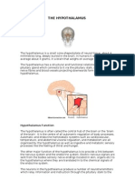 June 2011, Hypothalamus