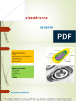 La Spore Bactérienne Vers 2020 21