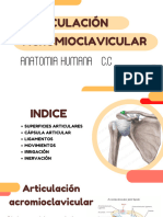 Articulación Acromioclavicular