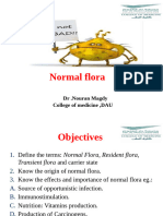 2 - Normal Flora DAU