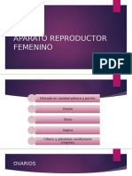 Aparato Reproductor Femenino