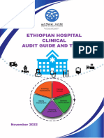 Hospitals Clinical Audit Guide and Tools 2022