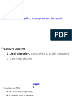 Lipid Digestion 111