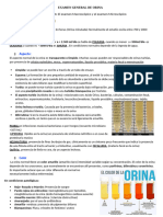 Examen General de Orina