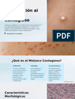 Introduccion Al Molusco Contagioso