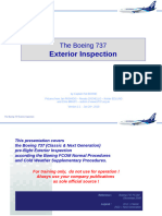 B737MRG ExteriorInspection - Pps