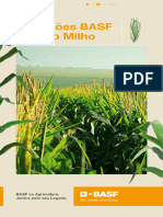 BASF Ebook SolucoesMilho