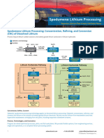 Lithium Spodumene Processing Brochure