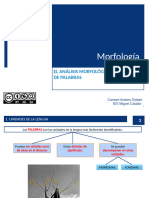 El Analisis Morfologico y Las Clases de Palabras 2024 2025 Rev