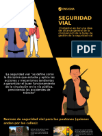 Seguridad Vial