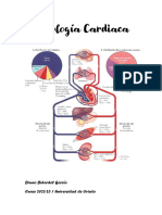 Fisiología Corazón - Sangre 2