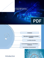 Identification Bactérienne - PR - ELKHYARI - 2024