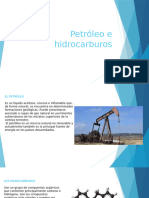 Petróleo e Hidrocarburos