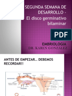 Clase 4 - Segunda Semana Del Desarrollo - 043234