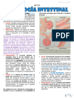 S10 (T3) - Patología Intestinal