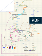 Mapa Metabolico