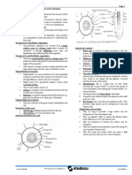 Transport in Plants Notes