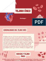 Tejido Óseo