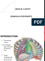 Thoracic Cavity