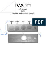 Check For Understading Lipids