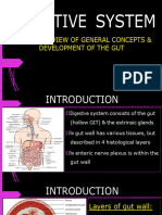 Embryological Develpoment of The Gut