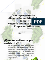 La Dimensión Ambiental de La RSE