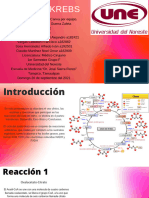 Ciclo Del Acido Citrico