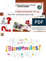 Produccion Intelectyual