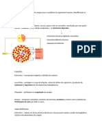 Ciencias Sangue