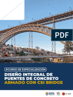 Brochure Puentes Integral Csi