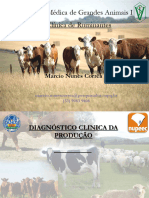 Clínica Médica de Grandes Animais I Clínica de Ruminantes: Marcio Nunes Corrêa