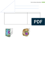 2 Ficha 10 Celula Biomoleculas