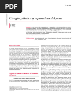 Cirugía Plástica y Reparadora Del Pene