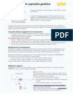 Biología Molecular - Regulación de La Expresión Genética