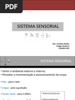 Sistema Sensorial