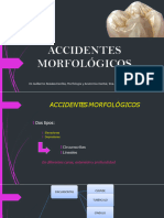 Accidentes Morfológicos Clase 1