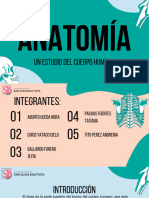 Presentación Diapositivas Anatomía Cuerpo Humano Ilustrativo Simple Azul - 20241105 - 230550 - 0000