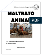 Maltrato Animal