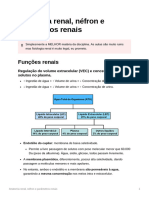 Aula 9 - Anatomia Renal, Néfron e Parâmetros Renais