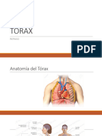 Repaso Torax