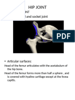 Hip Joint