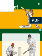 Powerpoint Cricket.202304243