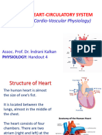 Handout 4 - Heart Circulatory System