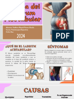 Labrum Acetacular