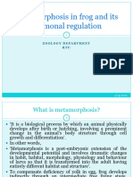 Metamorphosis in Frog and Hormone Regulation