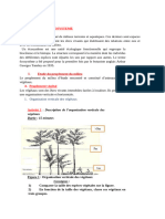 Structure D'un Écosysème 24-1