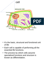 The Cell 1