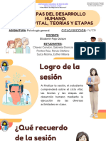 Etapas Del Desarrollo Humano