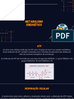 Metabolismo Energético - Metabolismo Energético-1