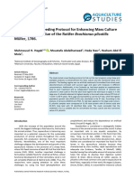 Brachionus Plicatilis Culture